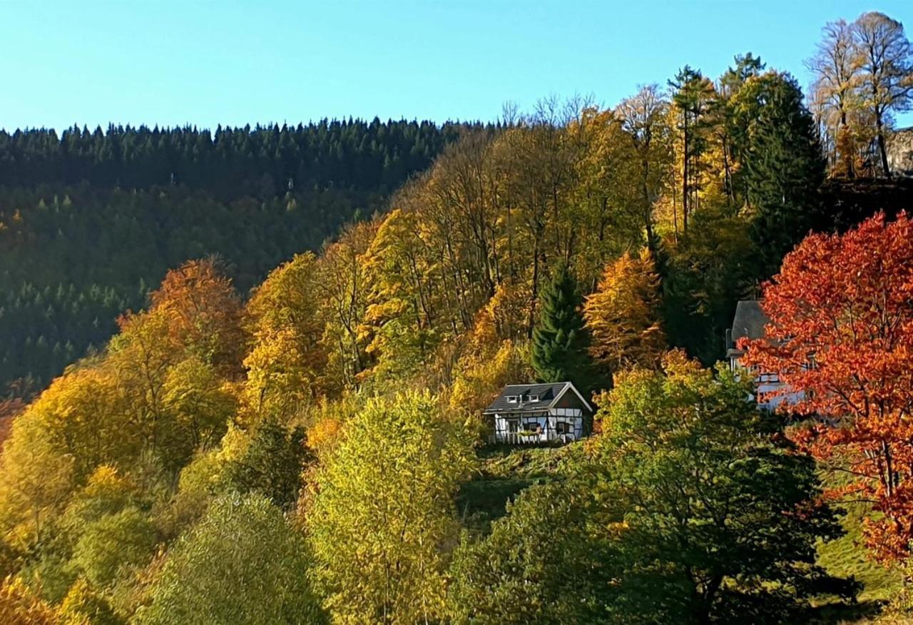 Вілла Jagthaus Am Rappelstein Шмалленберг Екстер'єр фото
